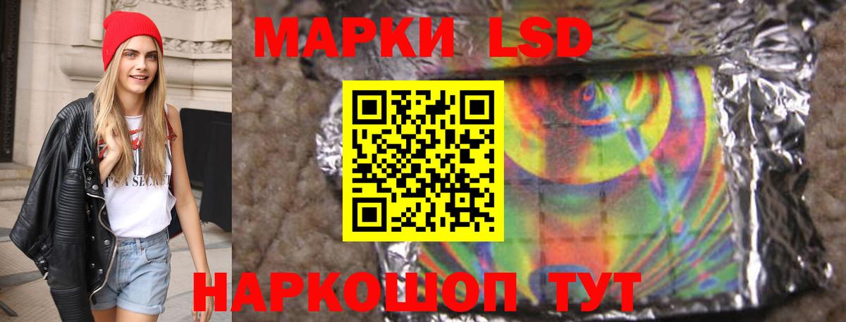 Лсд 25 экстази ecstasy  omg ONION  Новозыбков  ЛСД экстази ecstasy  Вход с VPN 
