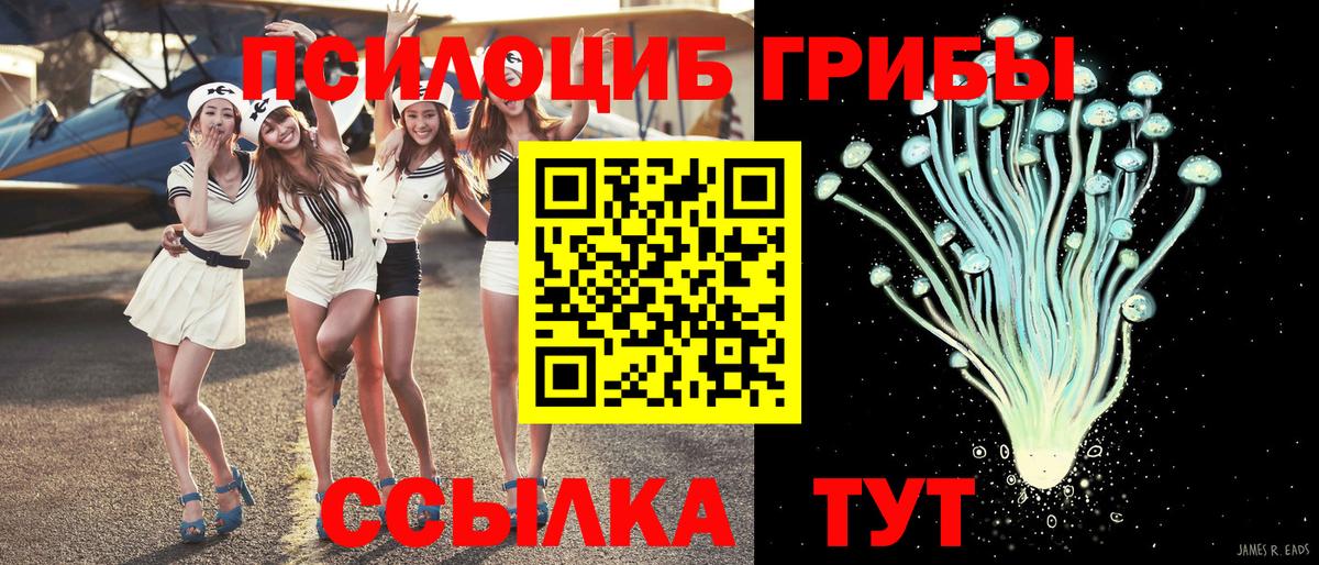Галлюциногенные грибы ЛСД  Вход с VPN  Новозыбков 
